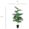 5ft. Potted Monstera Deliciosa Tree by Ashland®